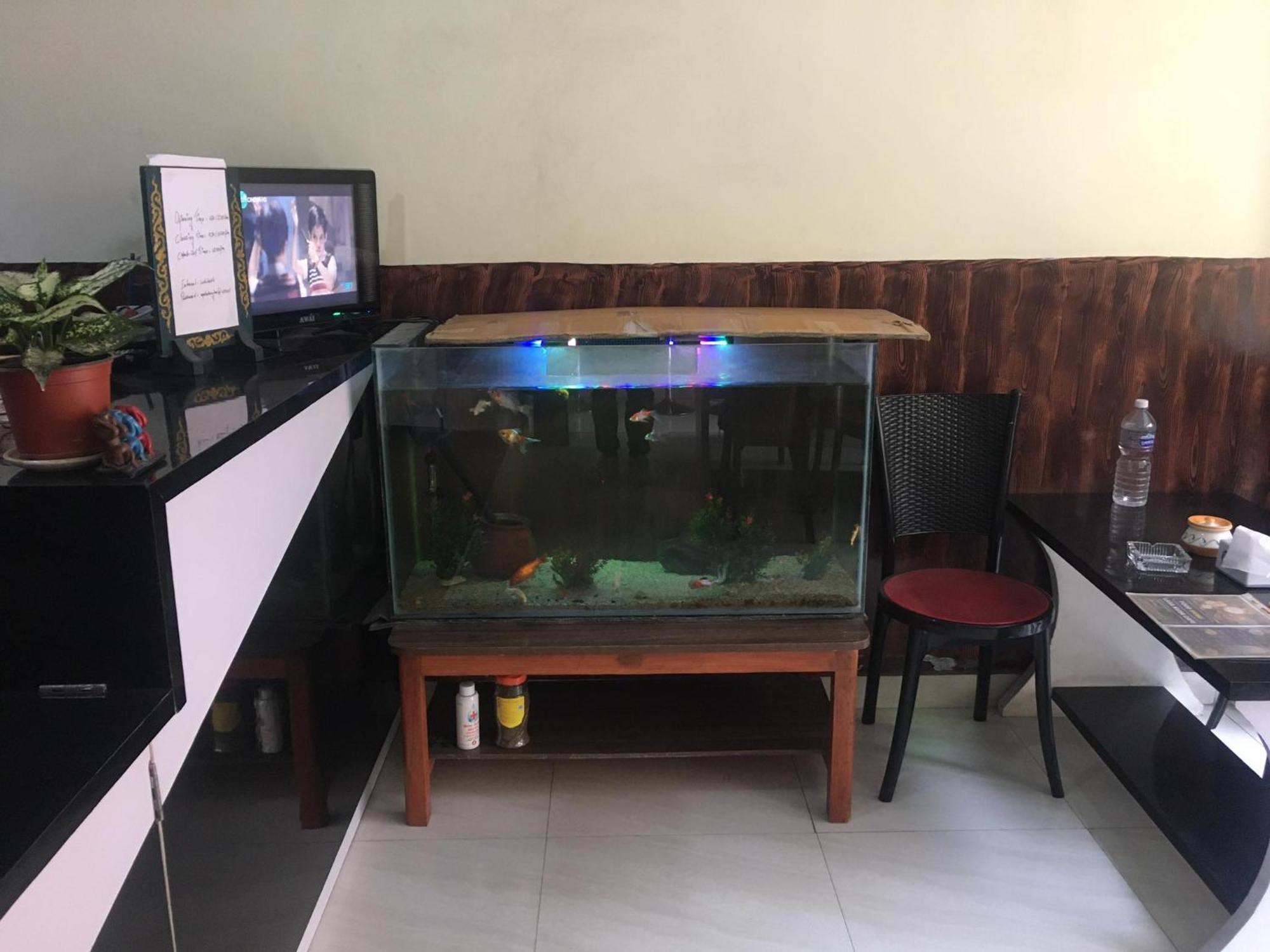 Lasa Kusa Homestay ラリトプル エクステリア 写真
